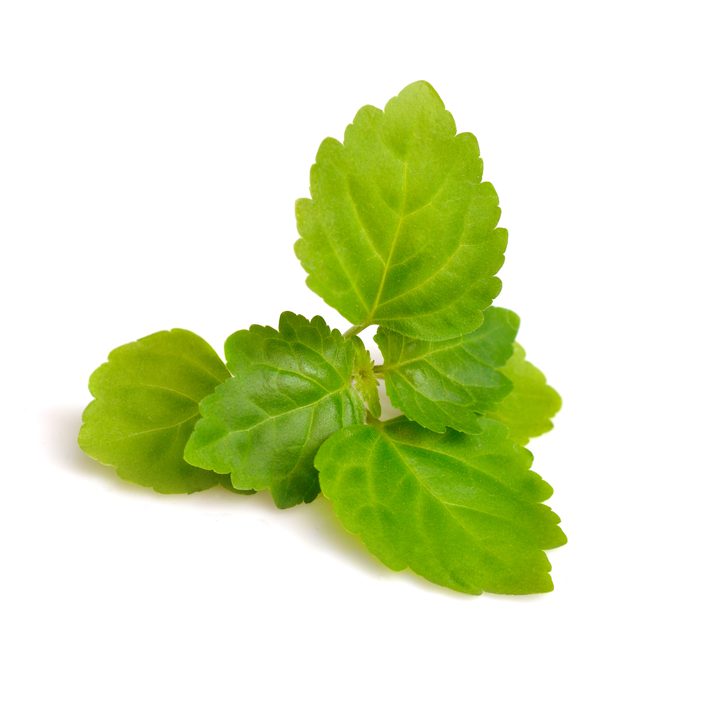 Patchouli-e1528173185780.jpg Patchouli-e1528173185780.jpg