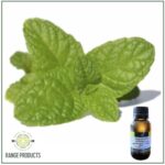 Peppermint Essential oil
