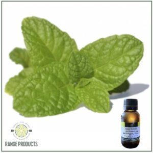 Peppermint Essential oil