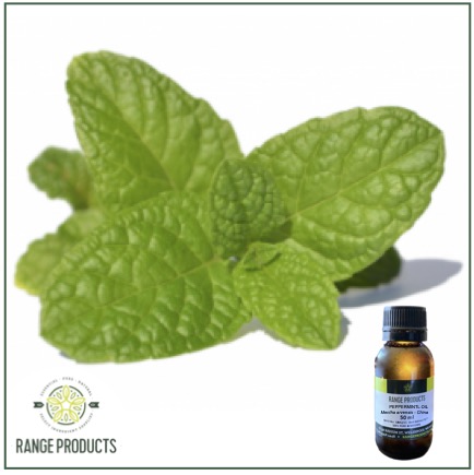 Peppermint Essential oil Peppermint Essential oil