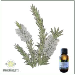 Rosalina Essential Oil (Melaleuca ericifolia)