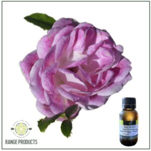 Rose Bulgarian Essential Oil Pure (Rosa damascena)
