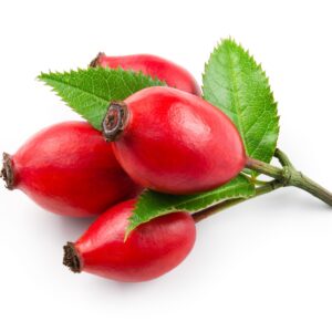 Rosehip Oil