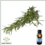 Rosemary Essential Oil
