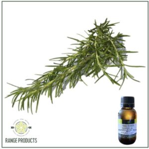 Rosemary Essential Oil
