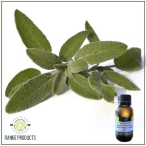 Sage Essential Oil (Salvia officinalis)
