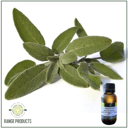 Spanish Sage Essential Oil Spanish Sage Essential Oil