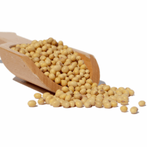 Soya Bean Oil