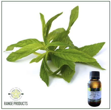 Spearmint Essential Oil Spearmint Essential Oil