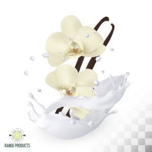 Vanilla Milk Fragrance