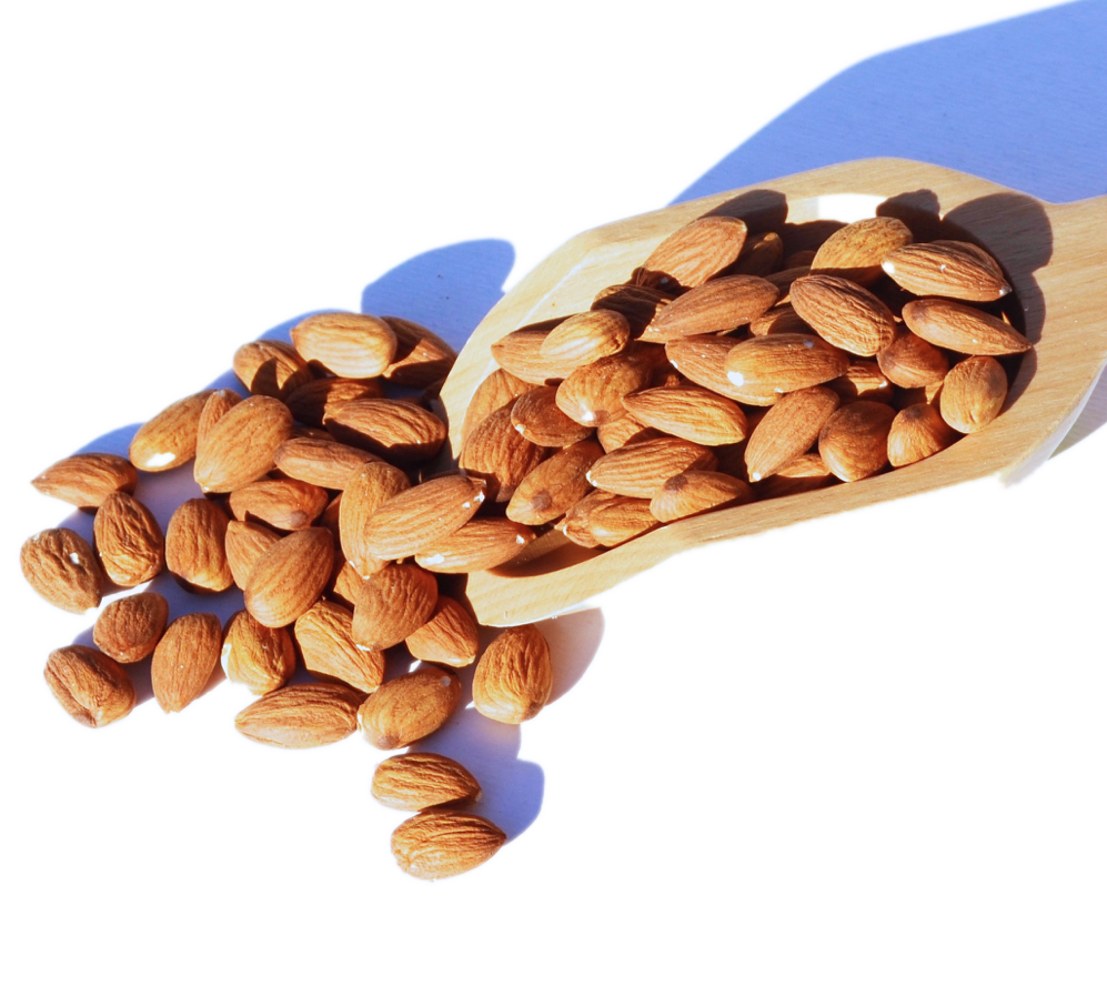 almonds-cut-e1438857952324.png almonds-cut-e1438857952324.png