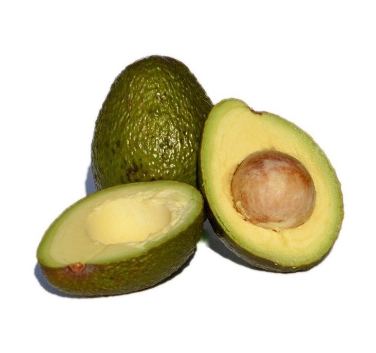 avo-e1441263030377.jpg avo-e1441263030377.jpg