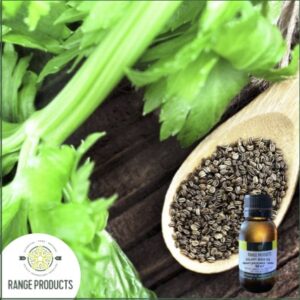 Celery Seed Essential Oil
