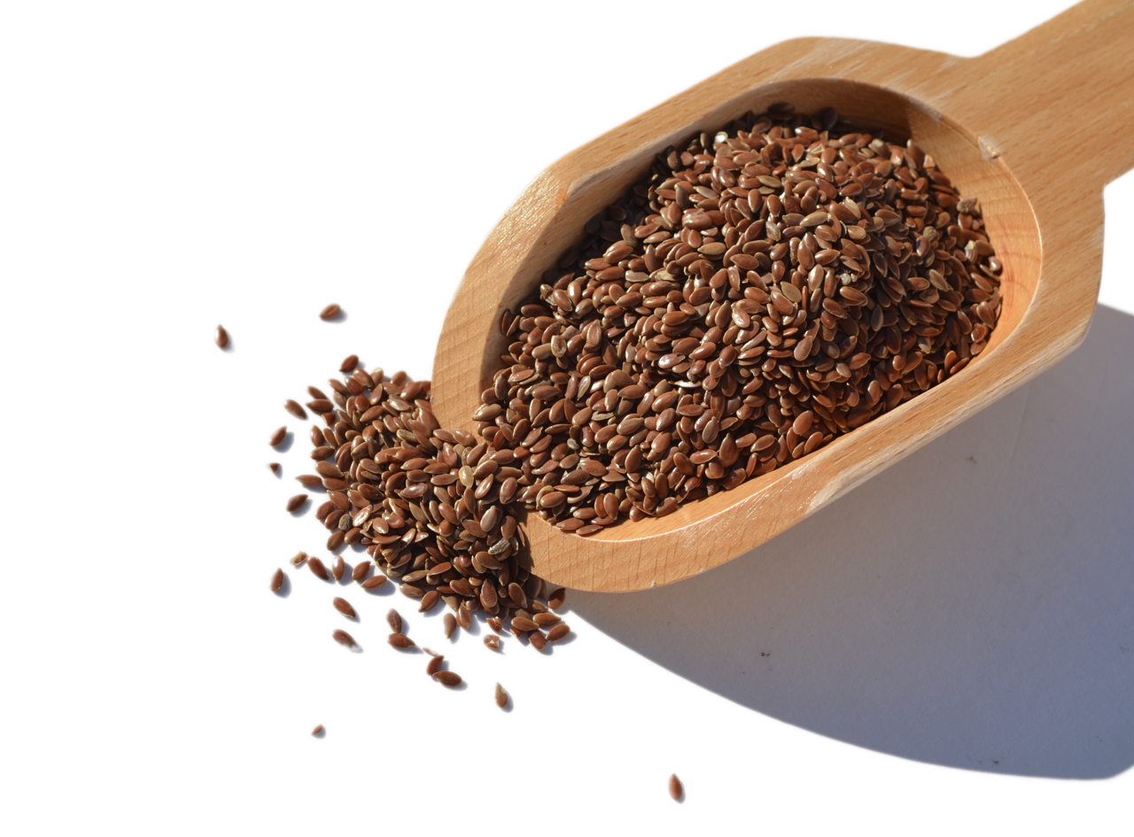 linseed-cut-e1438936131864.png linseed-cut-e1438936131864.png