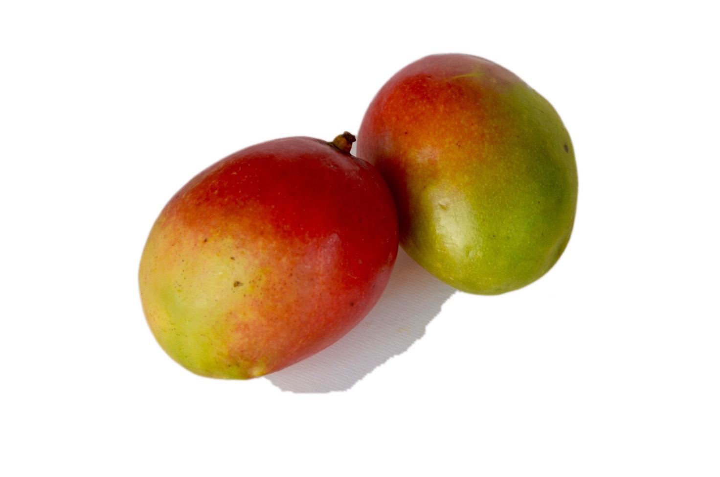 mango-cut.jpg mango-cut.jpg