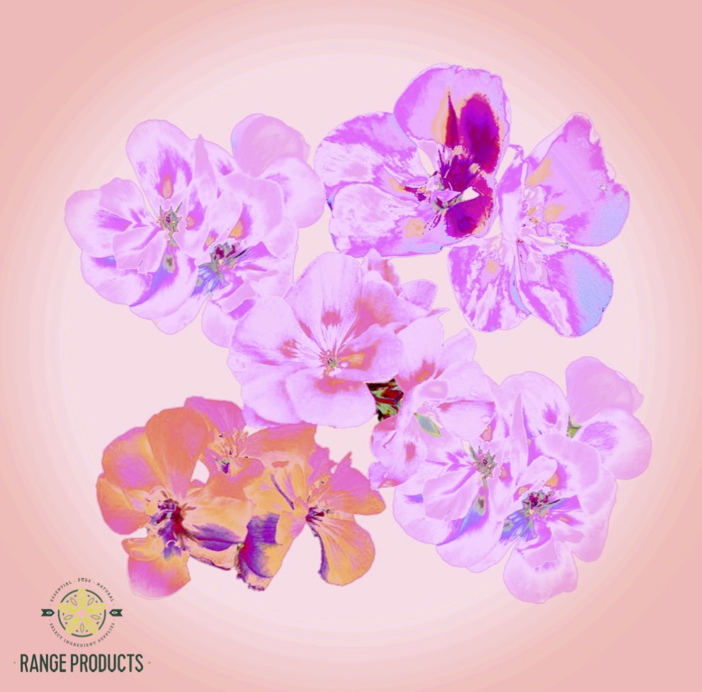 soft-and-fresh.jpg soft-and-fresh.jpg