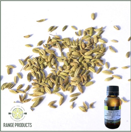 Fennel Sweet Essential Oil Fennel Sweet Essential Oil