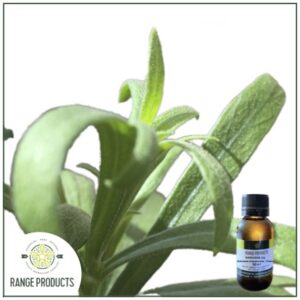 Tarragon Essential Oil (Artemisia dracunculus)
