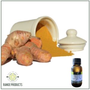 Turmeric Essential Oil (Curcuma longa)