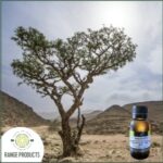 Frankincense Commercial Essential Oil