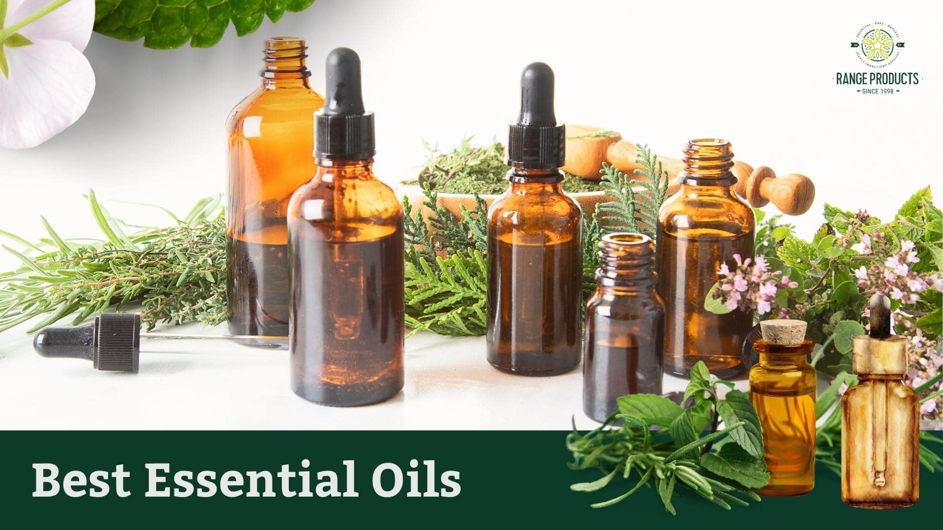 best essential oils