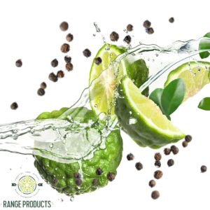 lux oud bergamot & pepper fragrance