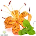 tiger lily & patchouli fragrance