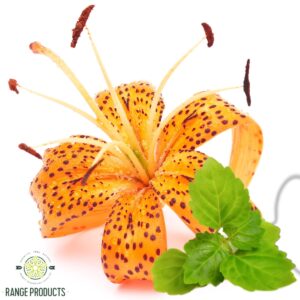 tiger lily & patchouli fragrance